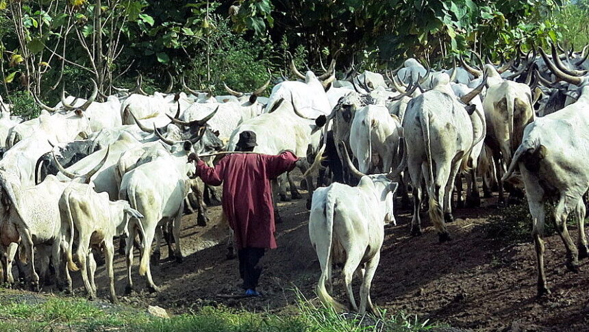 Yoruba Ko’Ya Foundation to Govt: Killings by criminals appearing as Fulani herdsmen must stop now